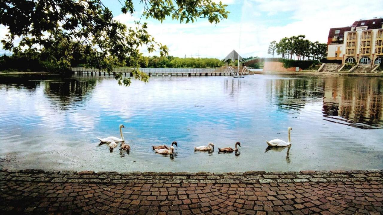 Vue Exceptionnelle Sur Le Lac Creteil Ngoại thất bức ảnh